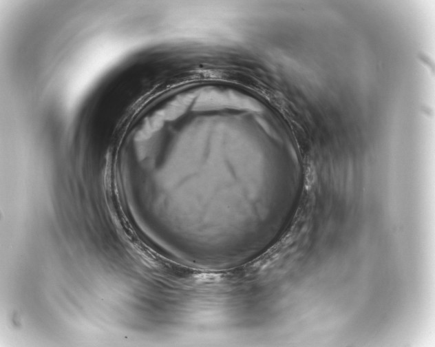 X0000093240052200710241303