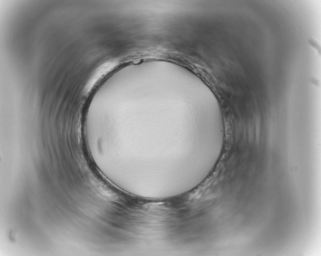 X0000093240054200710241303