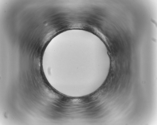 X0000093240059200710241303