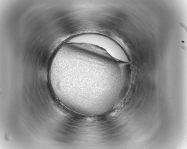 X0000093240060200710241303