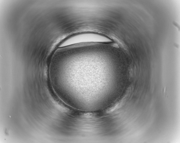 X0000093240064200710241303