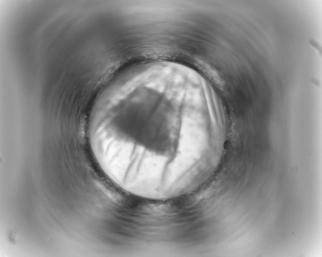 X0000093240065200710241303