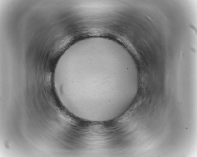 X0000093240066200710241303