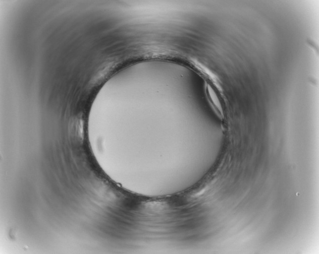 X0000093240067200710241303