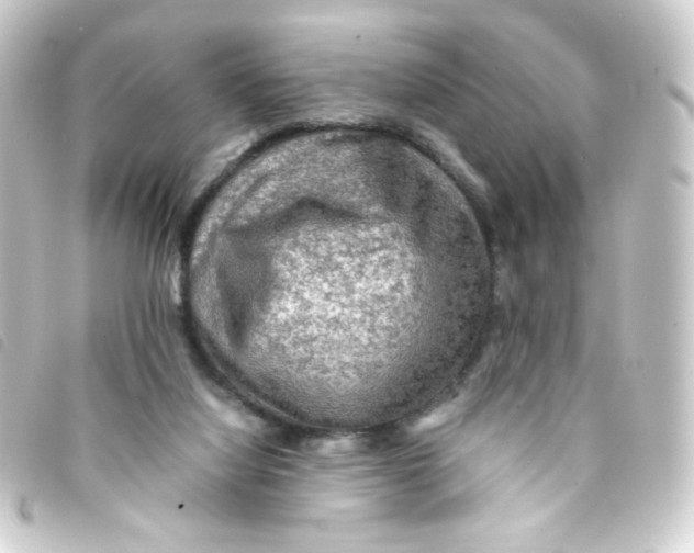 X0000093240068200710241303