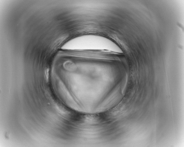 X0000093240070200710241303