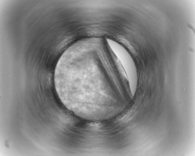 X0000093240071200710241303