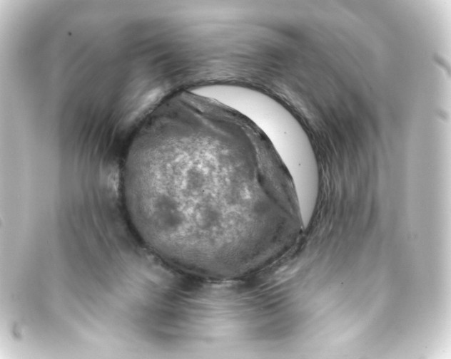 X0000093240072200710241303