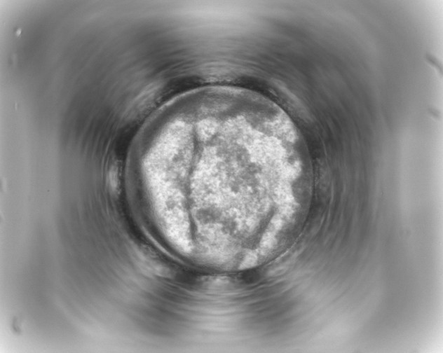 X0000093240074200710241303