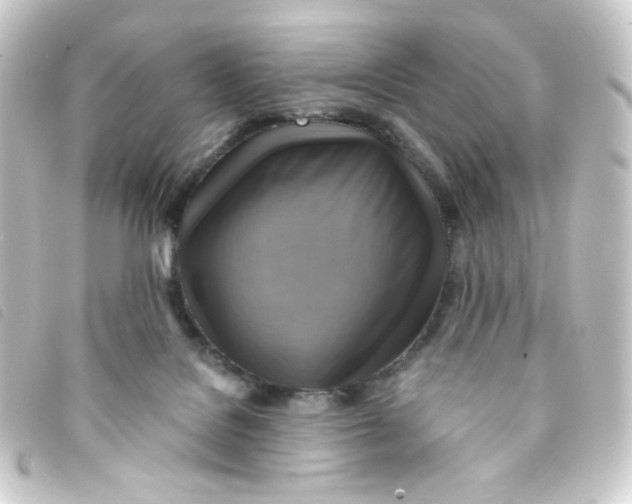 X0000093240076200710241303