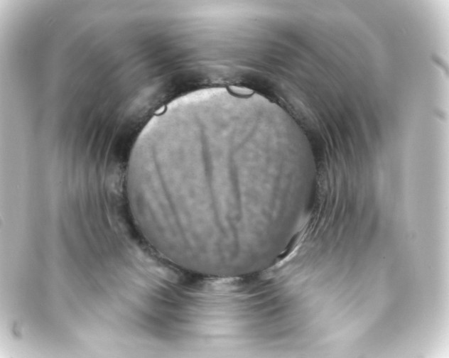 X0000093240078200710241303