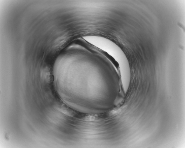 X0000093240080200710241303