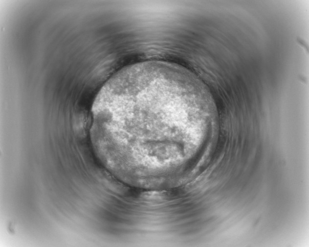 X0000093240082200710241303