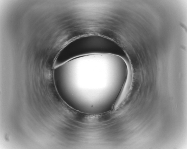 X0000093240084200710241303