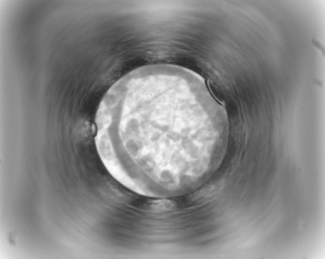 X0000093240087200710241303