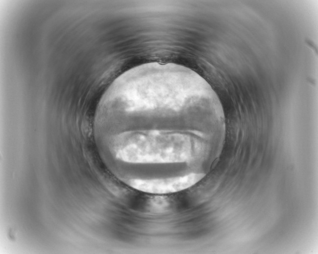 X0000093240091200710241303