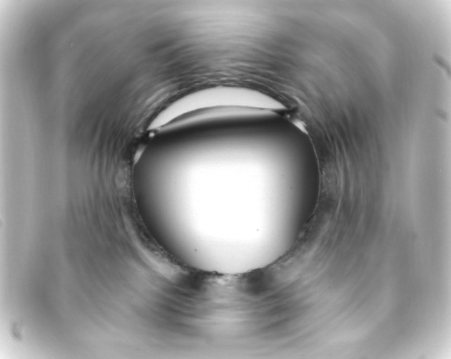 X0000093240092200710241303