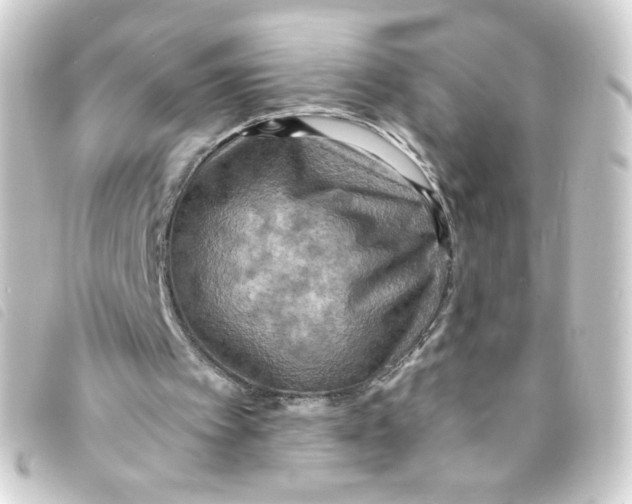 X0000093240097200710241303