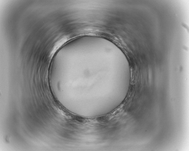 X0000093240099200710241303