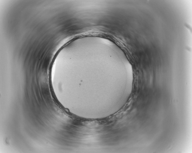 X0000093240100200710241303