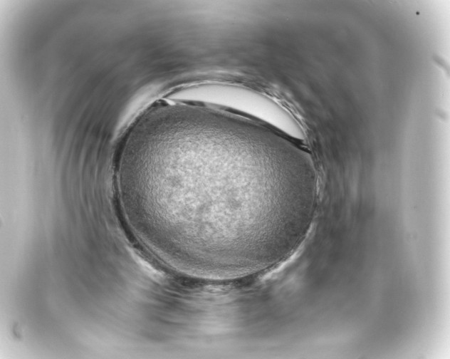 X0000093240101200710241303