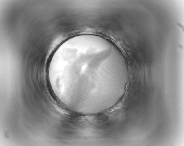 X0000093240102200710241303