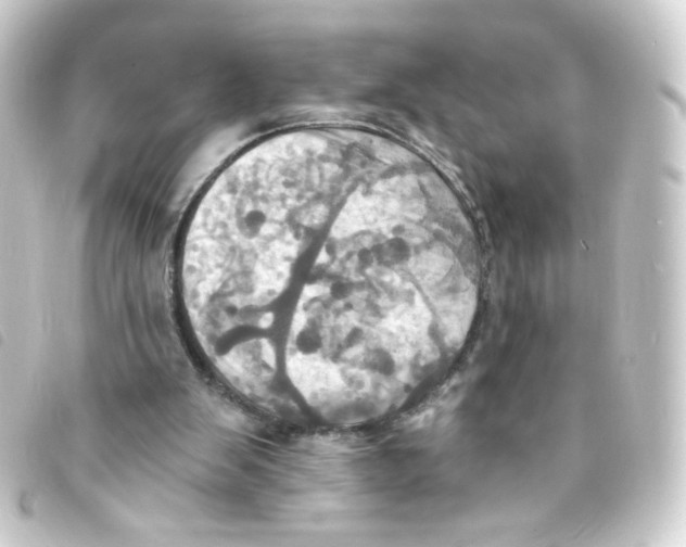 X0000093240103200710241303