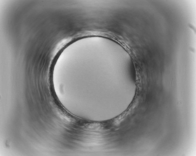 X0000093240104200710241303