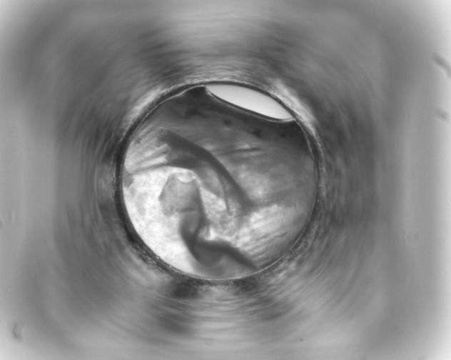 X0000093240107200710241303