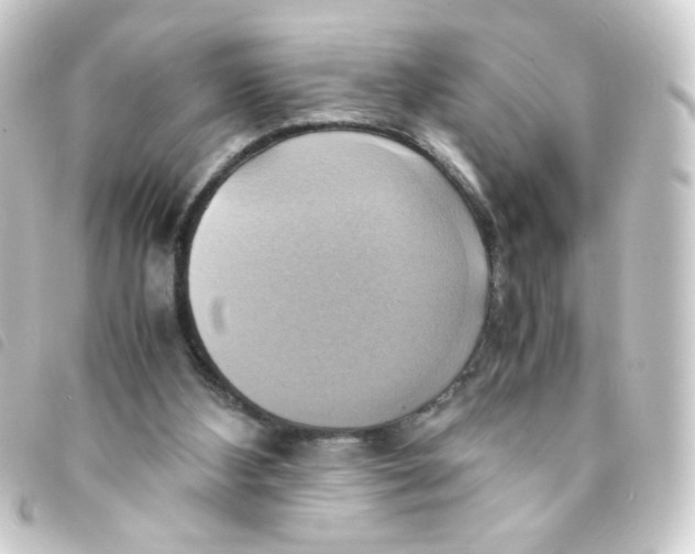 X0000093240108200710241303