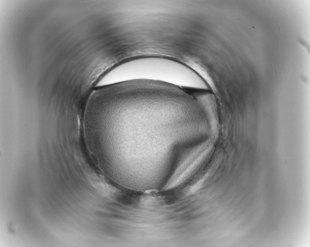 X0000093240109200710241303