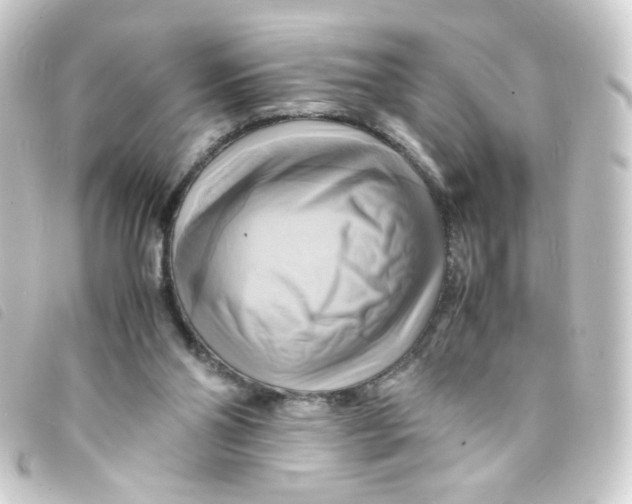 X0000093240110200710241303