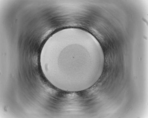 X0000093240112200710241303