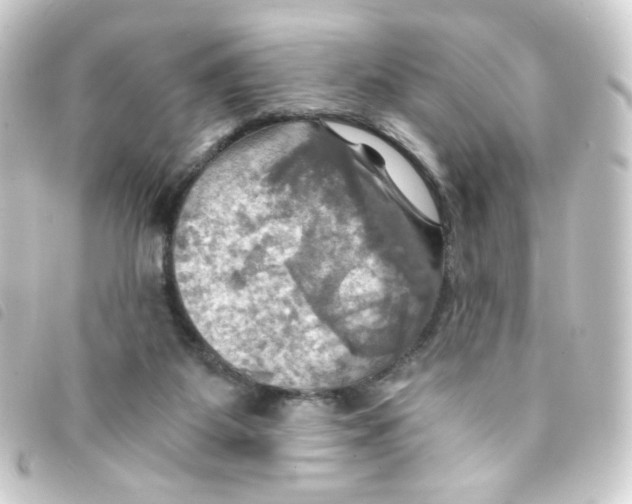 X0000093240115200710241303