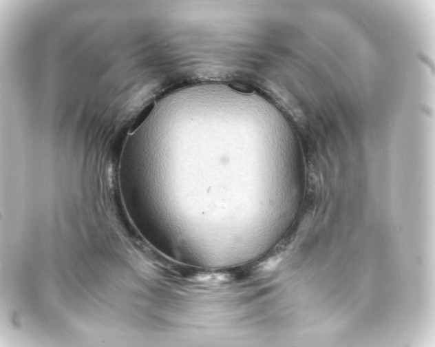 X0000093240117200710241303