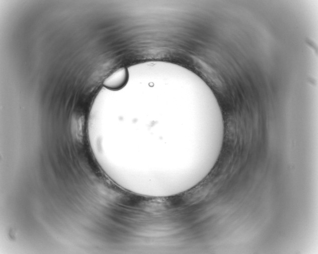 X0000093240118200710241303