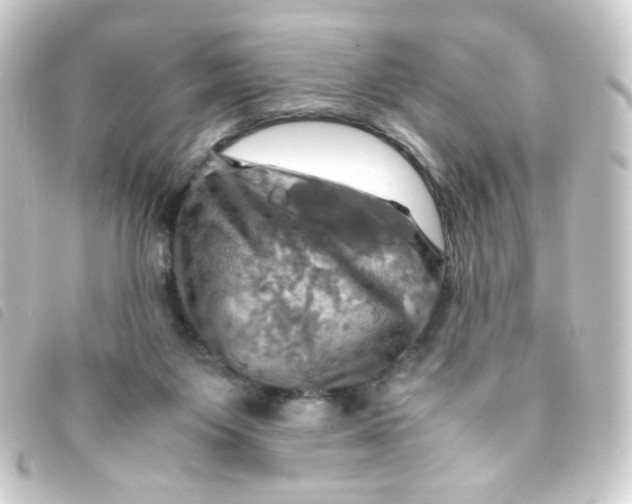 X0000093240119200710241303