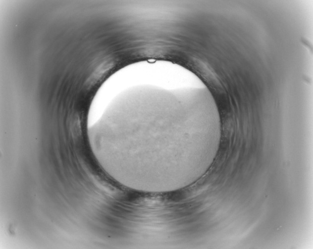 X0000093240120200710241303