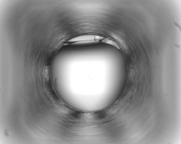 X0000093240121200710241303