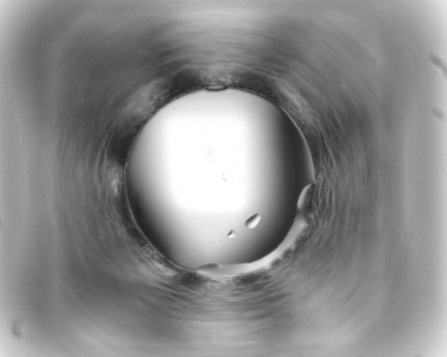 X0000093240125200710241303