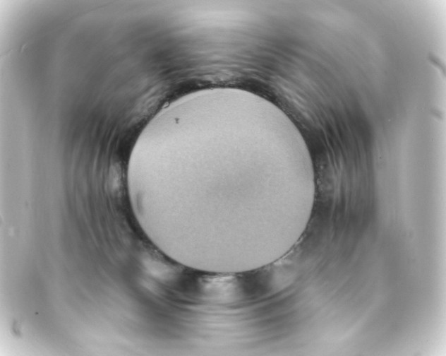 X0000093240132200710241302