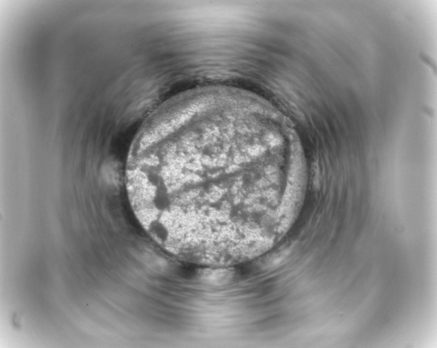 X0000093240135200710241302