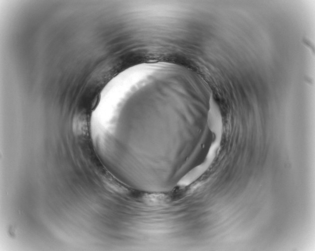 X0000093240137200710241302