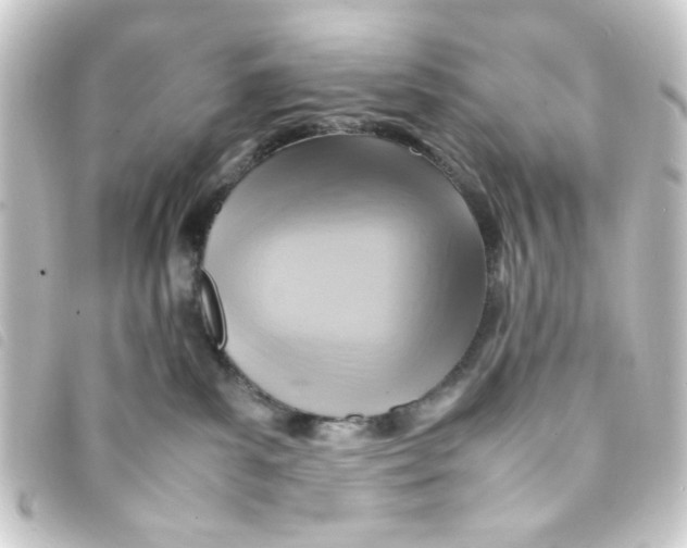 X0000093240139200710241302