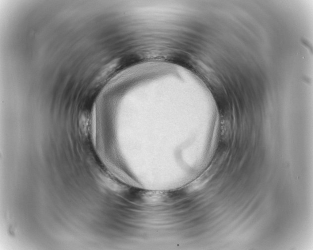 X0000093240142200710241302