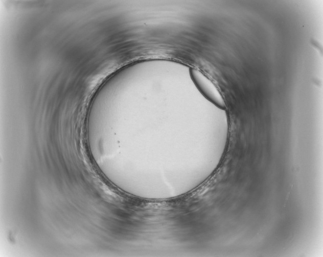 X0000093240145200710241302