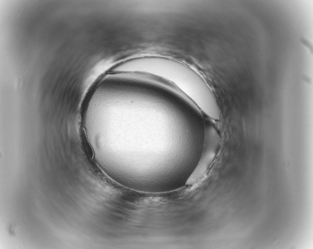 X0000093240152200710241302