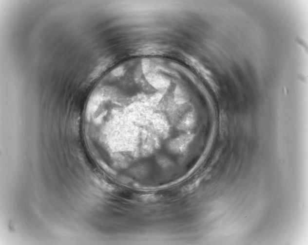 X0000093240153200710241302