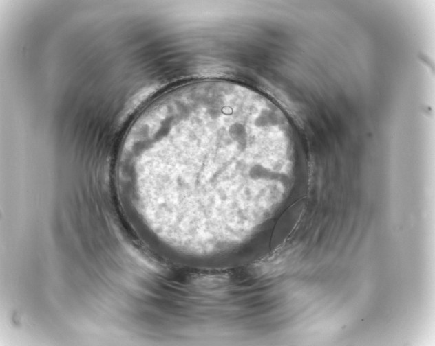 X0000093240155200710241302