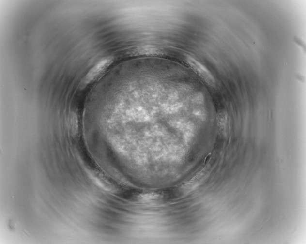 X0000093240158200710241302